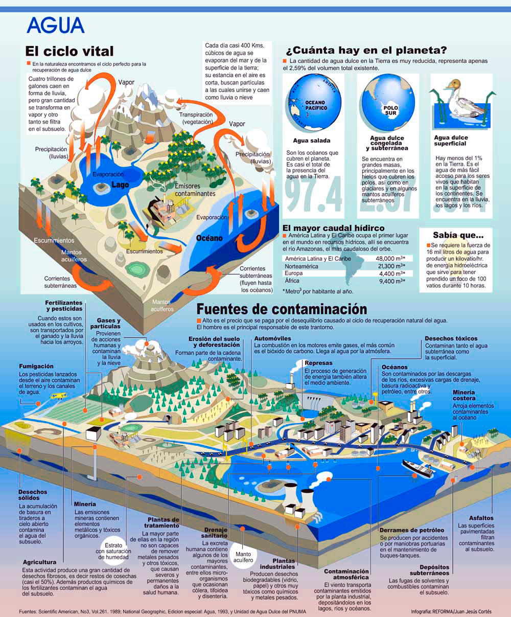 ciclo del agua infografia explicacion completa