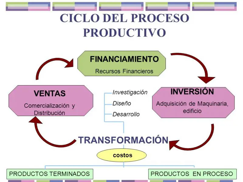 Etapas y procesos del ciclo productivo