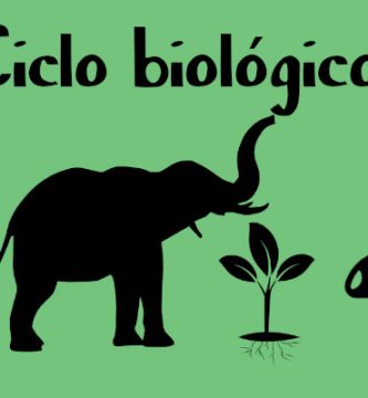 ciclo biológico